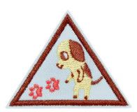 Brownie Cybersecurity Investigator Badge