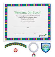 Ambassador Bridge Kit