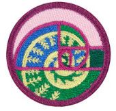 Junior Shapes In Nature Badge