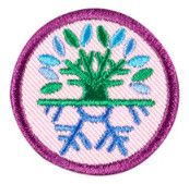 Junior Snow Or Climbing Adventure Badge