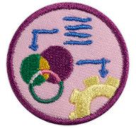Junior Think Like An Engineer Award Badge