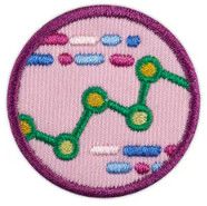 Junior Think Like A Programmer Award Badge