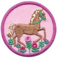 Junior Horseback Riding Badge