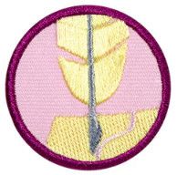 Junior Scribe Badge