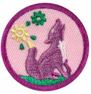 Junior Outdoor Art Explorer Badge