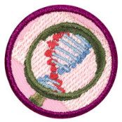 Junior Detective Badge