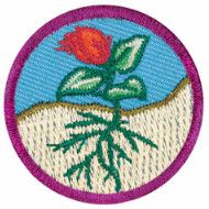 Junior Flowers Badge