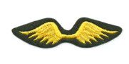 Brownie Girl Scout Wings