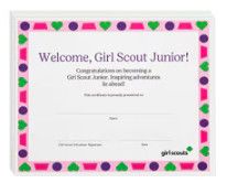 Junior Bridging Certificate