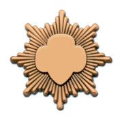 Bronze Award Pin