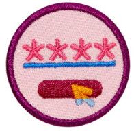 Junior Cybersecurity Safeguards Badge