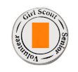 Senior Volunteer Pin
