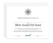 Silver Award Certificate