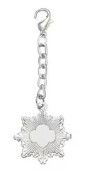 Silver Award Regalia Charm