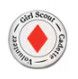 Cadette Volunteer Pin