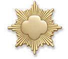 Miniature Gold Award Parent Pin