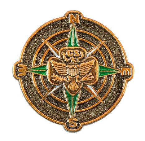 Girl Scouts Trailblazer Pin