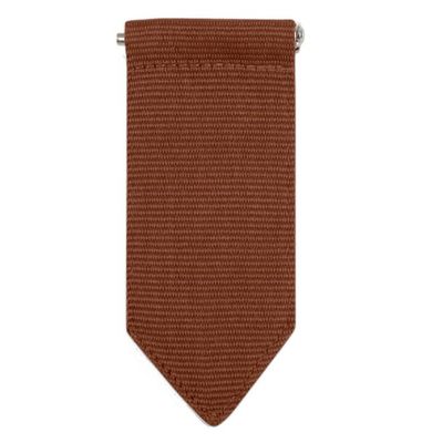 Brownie Insignia Tab