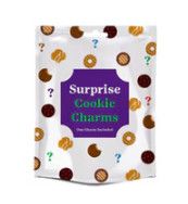 Cookie Fun Finds Surprise 3D Cookie Key Chain