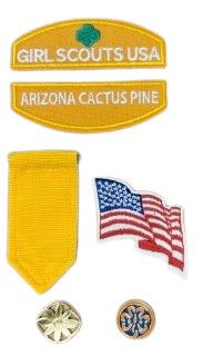 Daisy GSACPC Insignia Pack