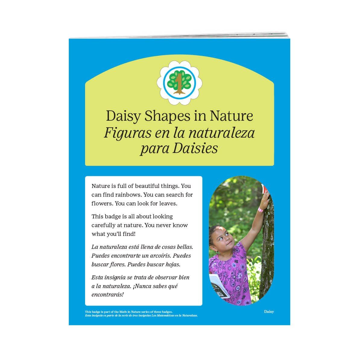 Requisitos para la insignia Figuras en la Naturaleza para Daisies