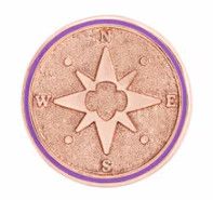 Junior True North Award