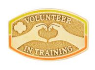 Volunteer in Training Award Pin
