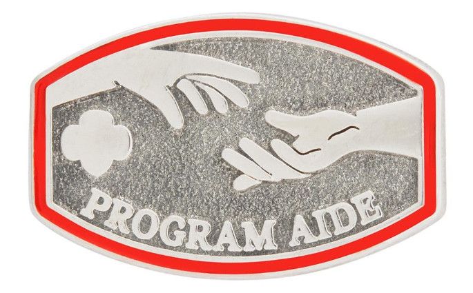 Program Aide Award Pin