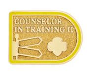 COUNSELOR IN TRAINING II AWARD PIN (A)