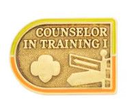 COUNSELOR IN TRAINING I AWARD PIN (SA)