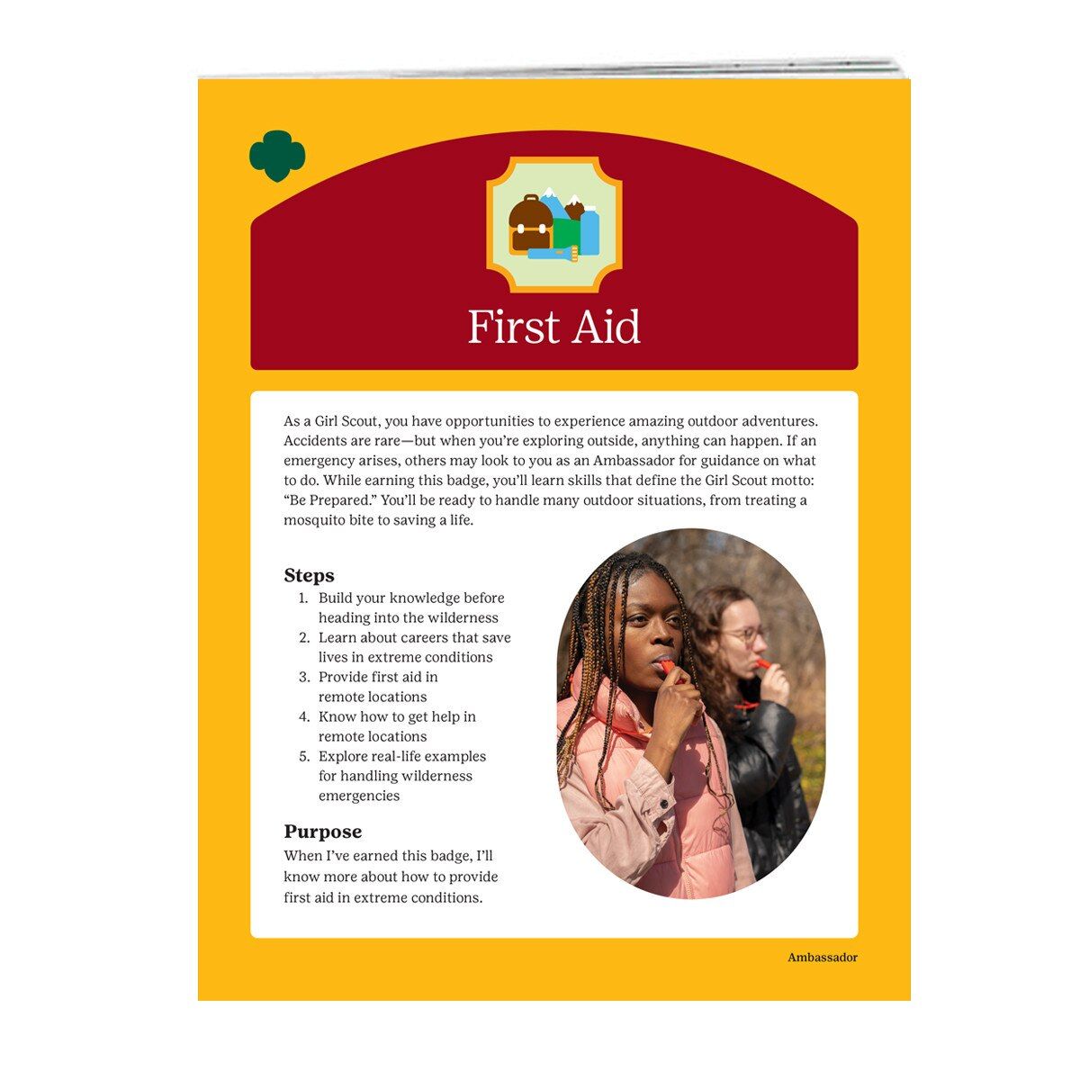 Ambassador First Aid Badge Requirements