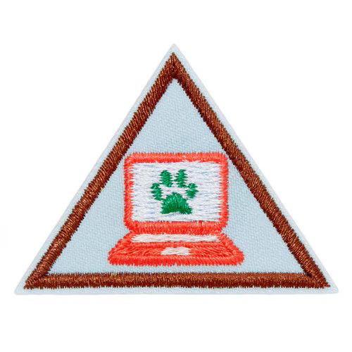 Brownie Cybersecurity Safeguards Badge