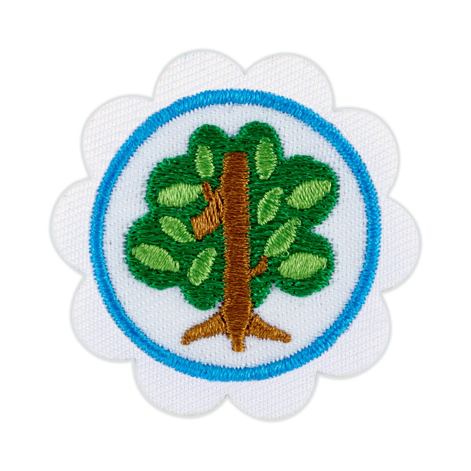 Daisy Shapes In Nature Badge