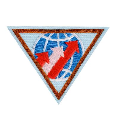 Brownie Global Action Award - Year 1