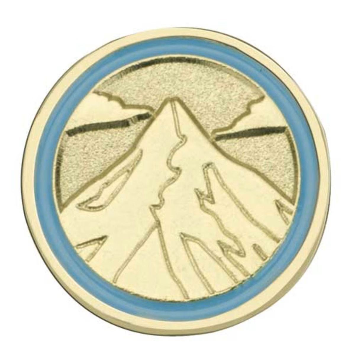 Daisy Journey Summit Award Pin