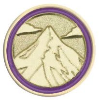 JR JRNY SUMMIT PIN