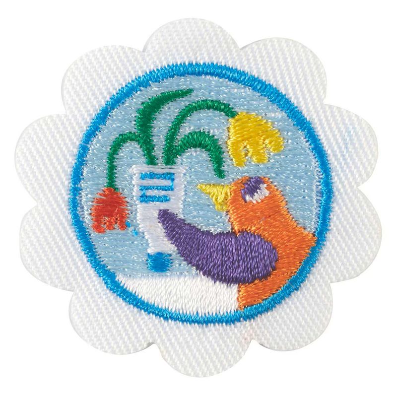 Daisy Create And Innovate Badge