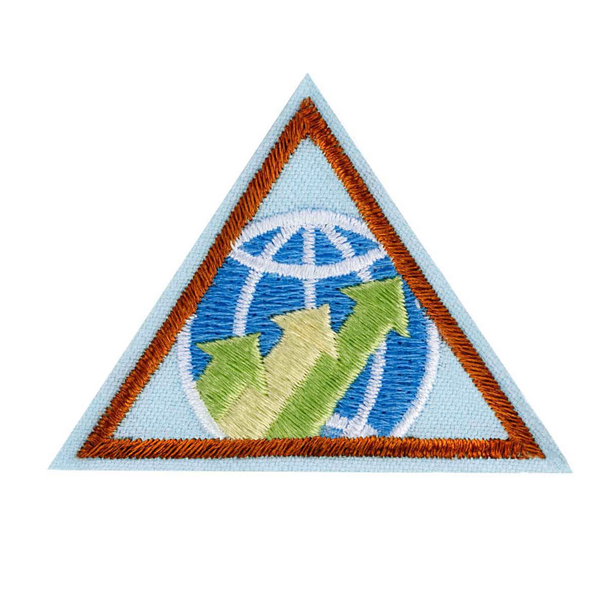 Brownie Global Action Award - Year 2