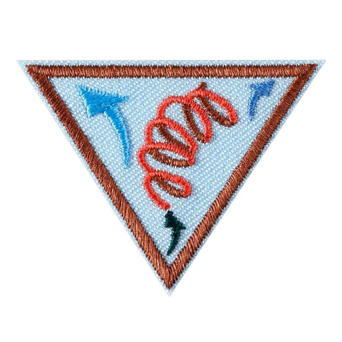 Brownie Leap Bot Design Challenge Badge