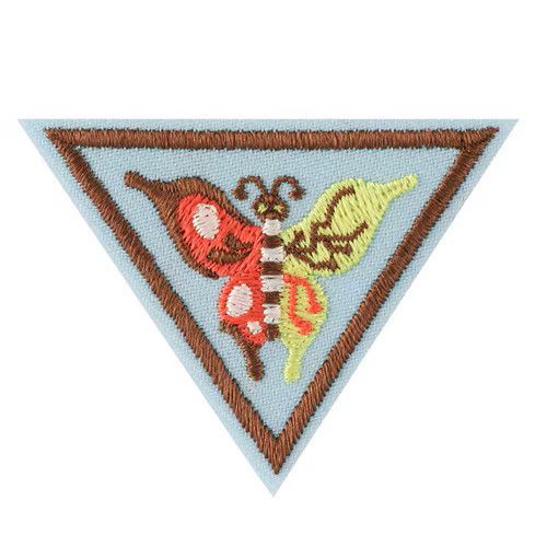 Brownie Create And Innovate Badge