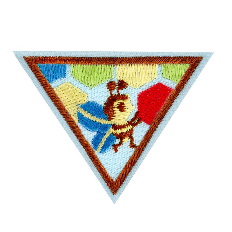 Brownie Design With Nature Badge