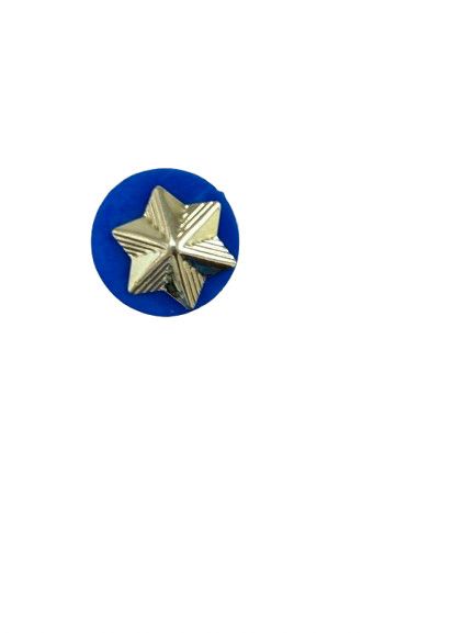 Membership Star with Daisy Disc