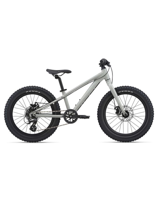 2025 Giant STP 20", Youth, Concrete