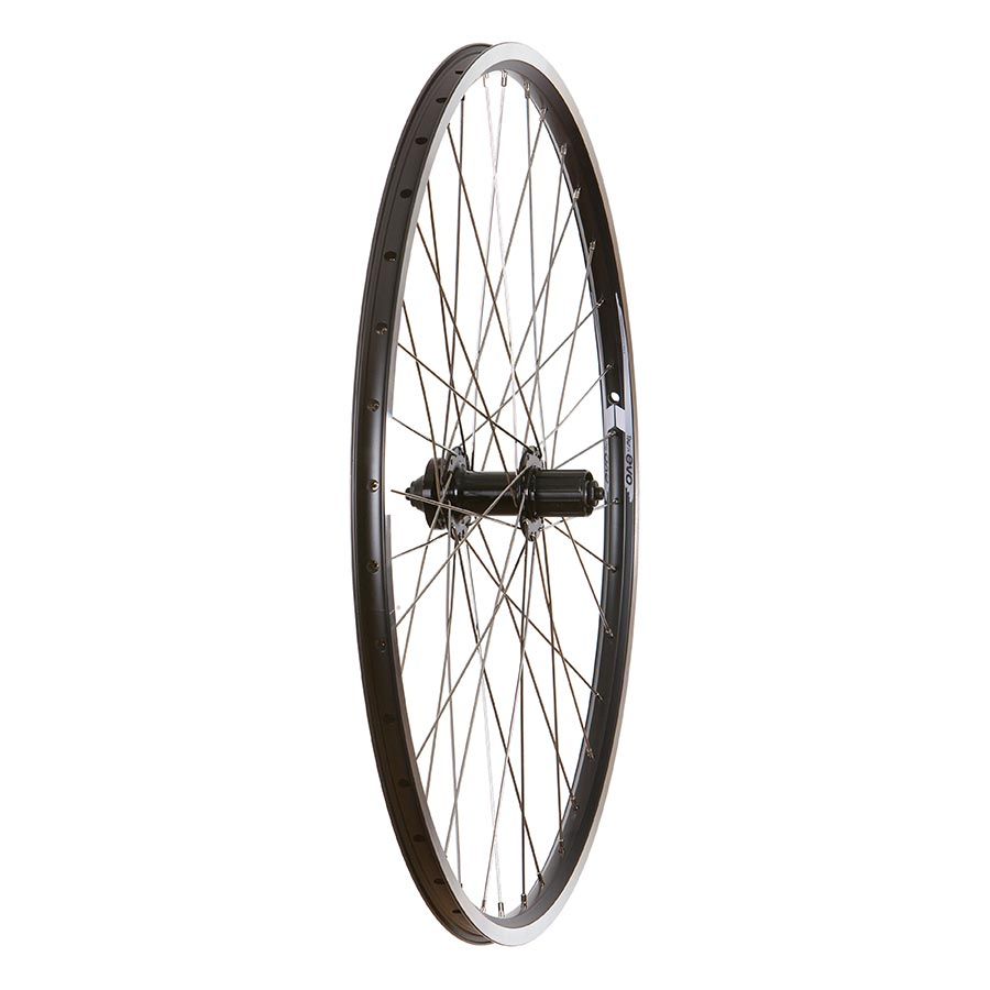 Wheel Shop, Rear, 700C, 36H, Black, Evo E Tour 19 / Black Formula DC-22, QR, HG, 6 Bolt Disc