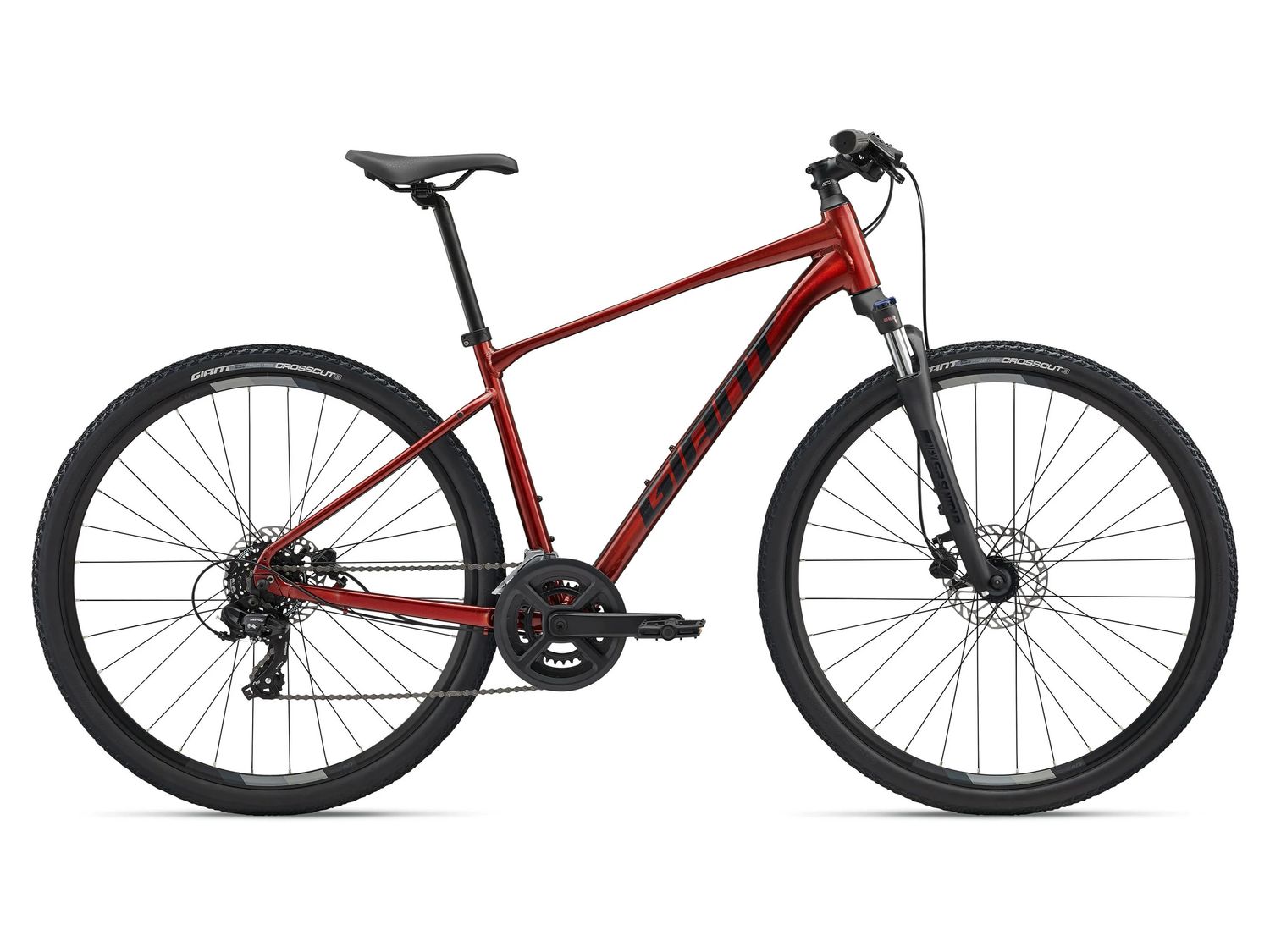 2025 Giant Roam 4