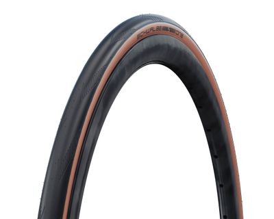 Schwalbe G-One Allround Tire, 700 x 32c, Bronze Skin, RaceGuard, Tubeless Easy, Performance, Addix, Folding