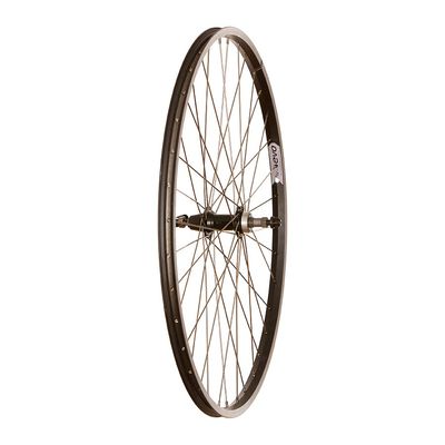 Wheel Shop, Rear Wheel, Evo Tour 20, 700c, 36H, QR, 135mm, Rim, Freewheel
