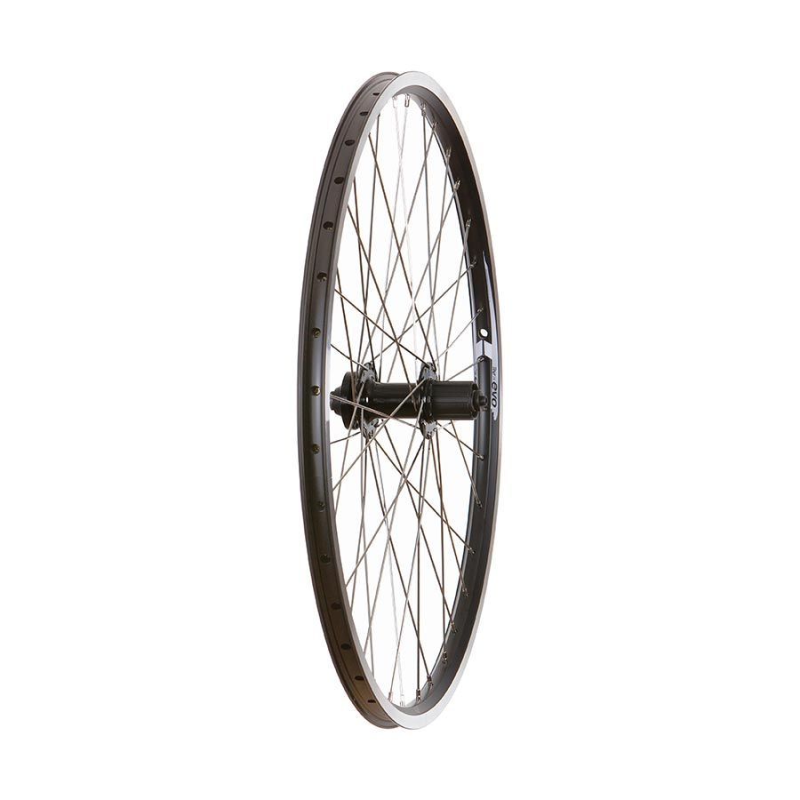 Wheel Shop, Rear 26", 36H Black Alloy Double Wall Evo E Tour 19/ Black Formula DC-22 QR, HG, 6 Bolt Disc