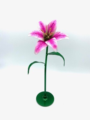 Aluma Lilies
