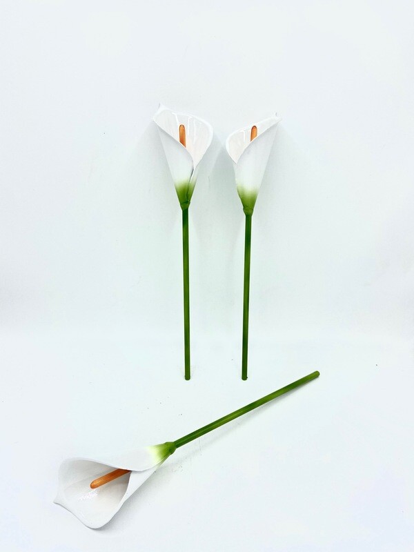 Single Calla Lily, Flower Color: Sparkling Pearl White